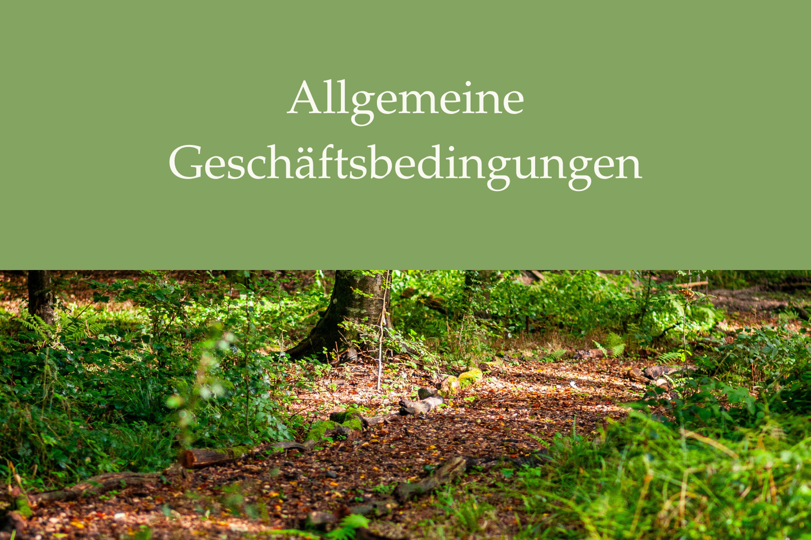 Dokument Allgemeine Geschäftsbedingungen