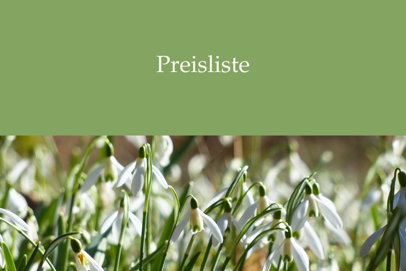 Dokument Preisliste