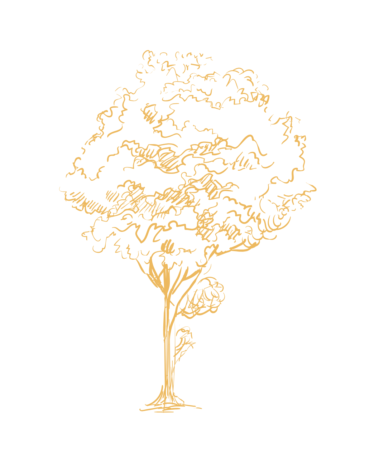 Handgezeichnete Baum Grafik für die Ruhestätte Seite