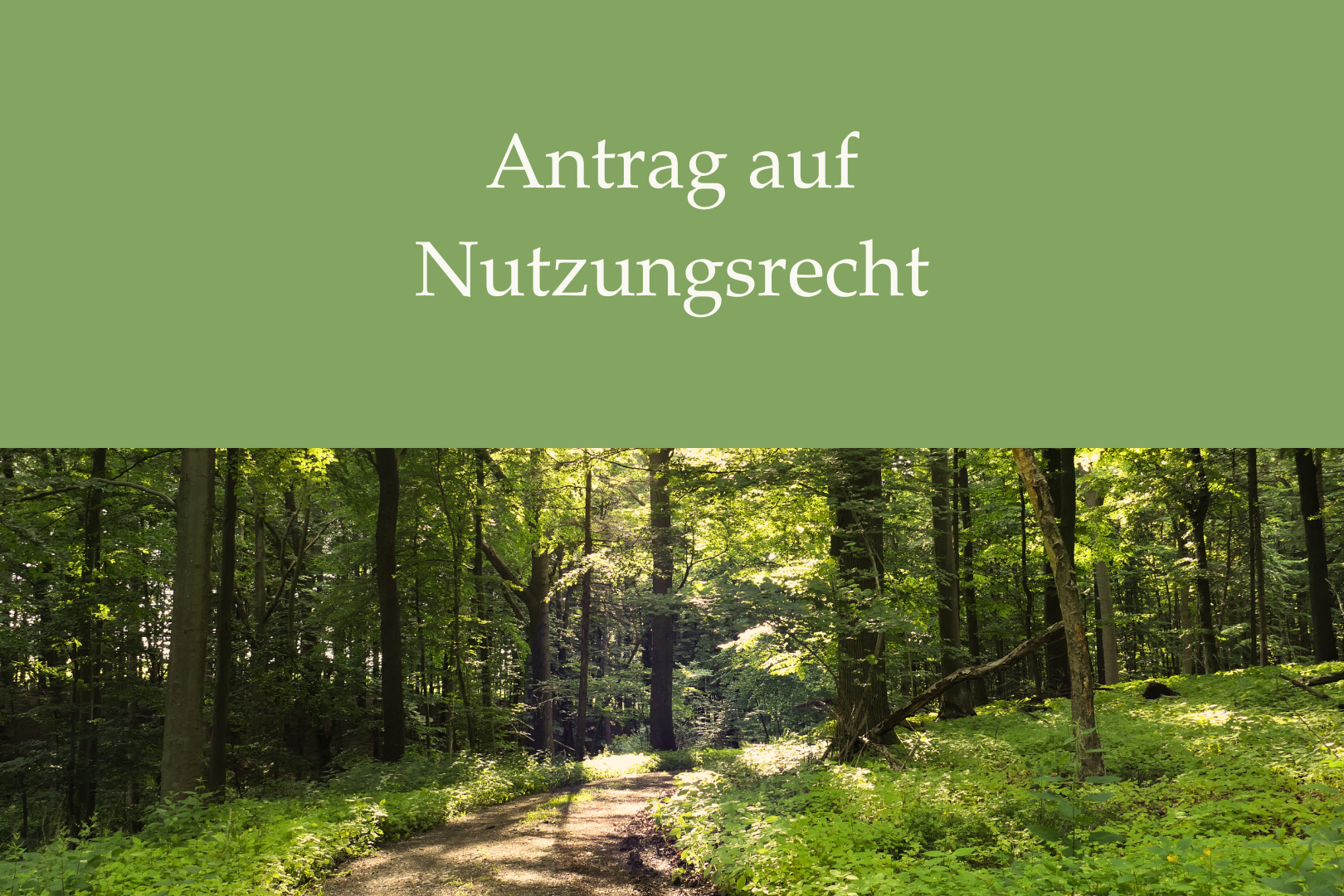 Dokument Antrag auf Nutzungsrecht