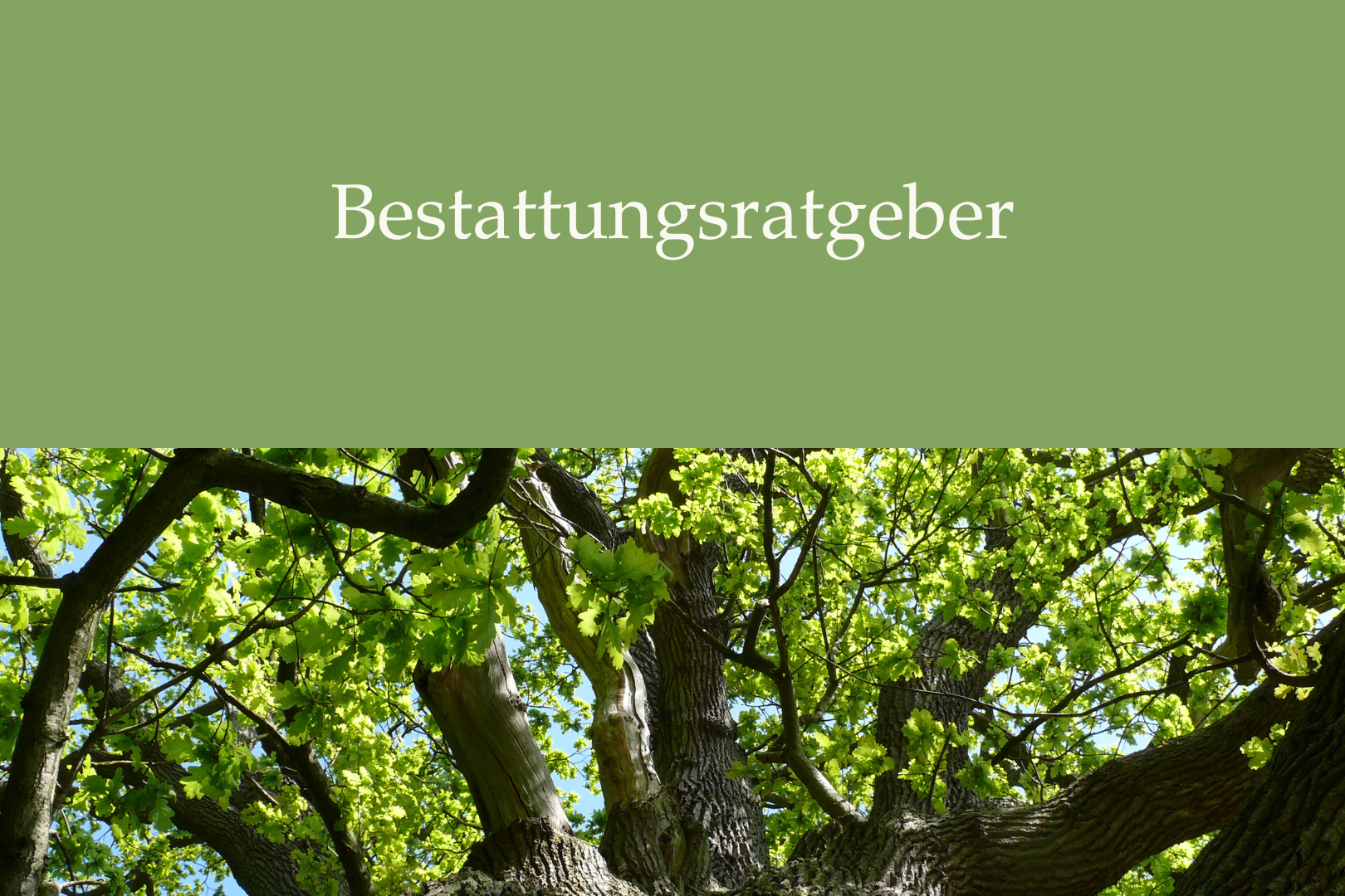Dokument Bestattungsratgeber