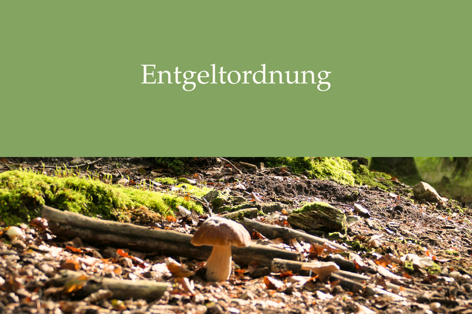 Dokument Entgeltordnung