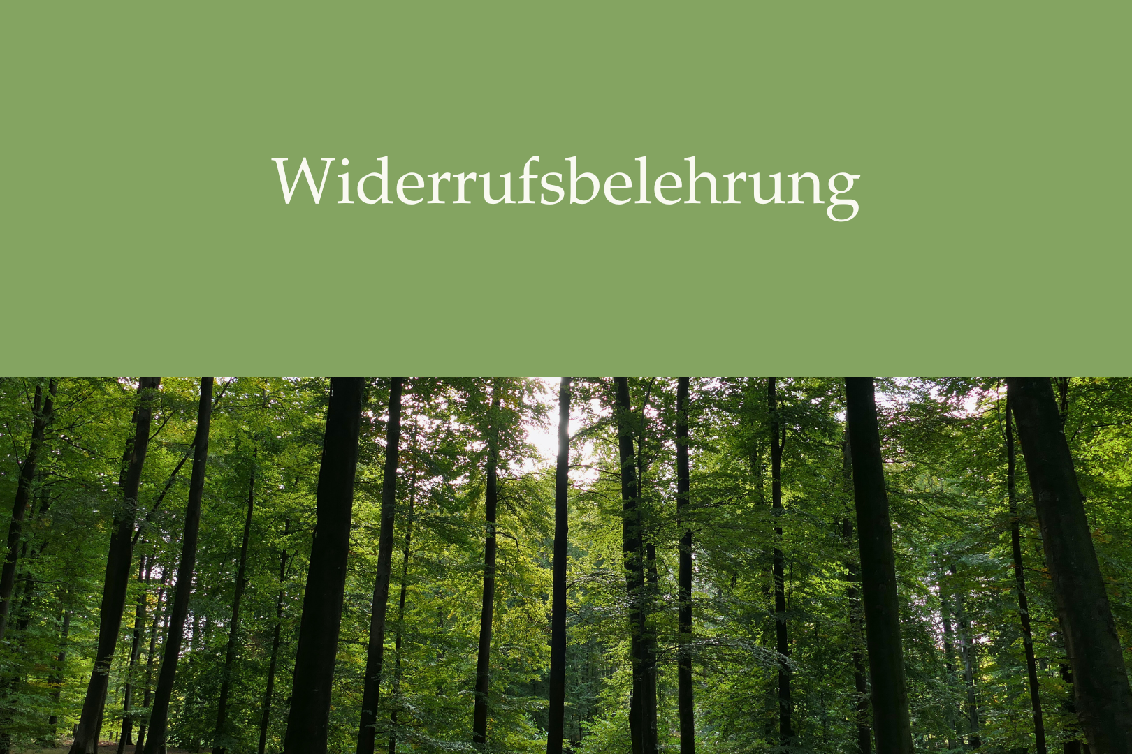 Dokument Widerufsbelehrung