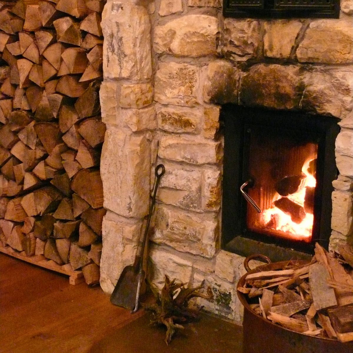 Brennholz und Tannenbäume vom Gut Bossee – regionaler Verkauf zwischen Kiel und Rendsburg für nachhaltige Wärme und Naturverbundenheit